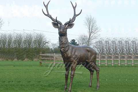 Life Size Bronze Deer Statues for Sale BOK-158